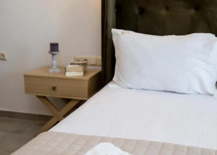 게스트하우스 Agali Skala Rachoni (Thasos)